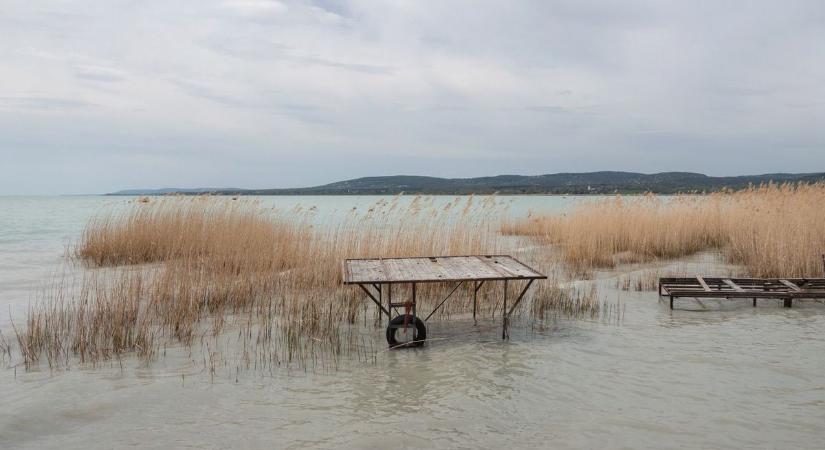 A Balatonnál tűnhetett el a pécsi tinédzser? Megindult a nyomozás