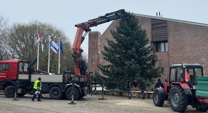 Megérkezett Kozármisleny idei karácsonyfája