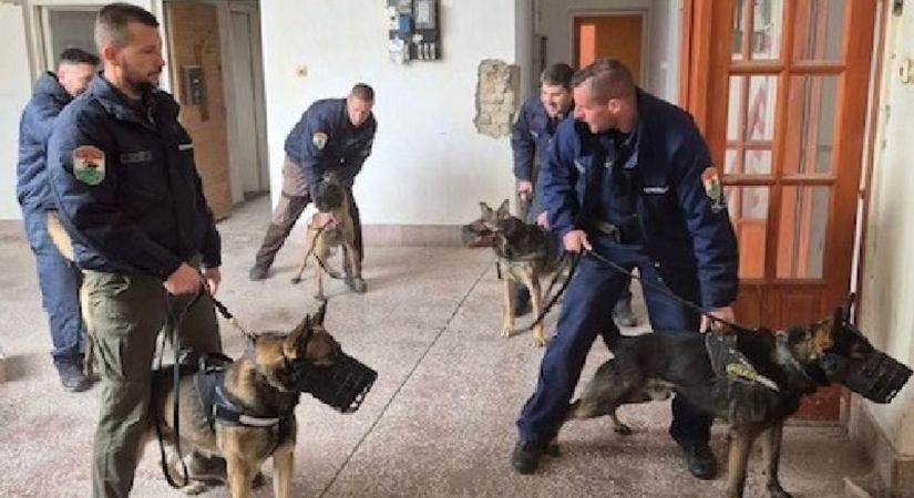 Kábítószert kerestek, nyomot követtek a rendőrkutyák