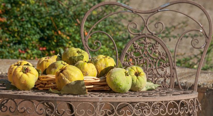 A legédesebb téli receptek a kertből