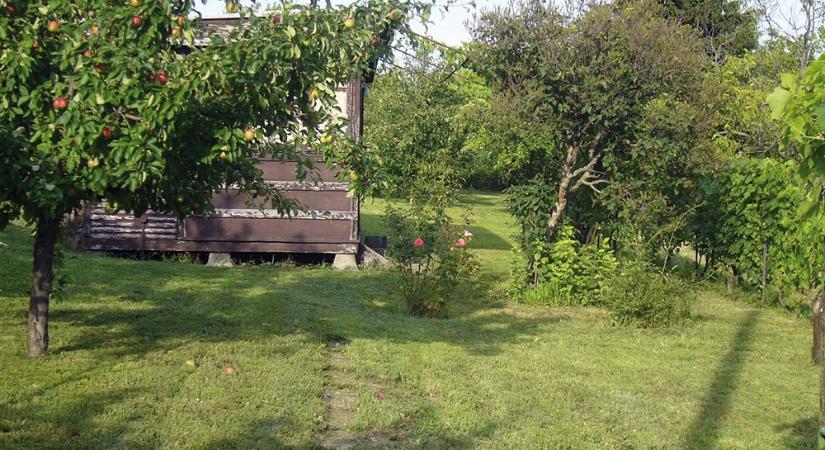 Ingatlan.com: több tízezer ingatlannal bővülhet az Otthon Start programba bevonható lakások kínálata