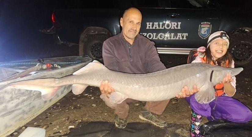 Óriási halat fogott ki a Duna paksi szakaszán egy gyerekhorgász (fotókkal)