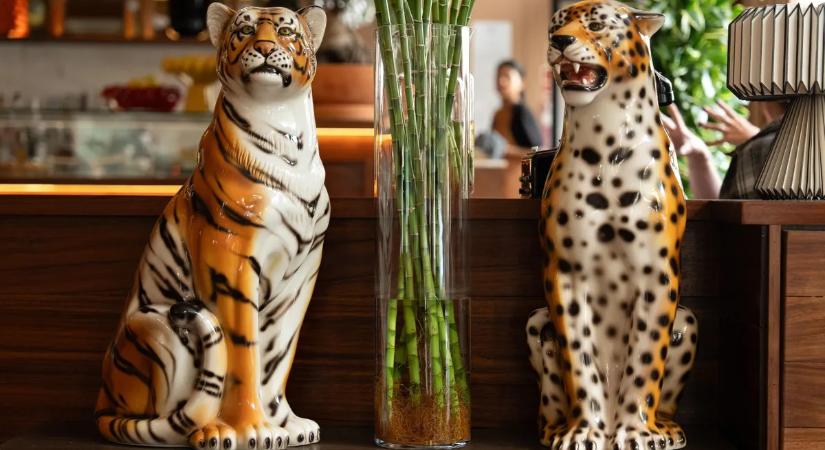 Szegénységet hoznak ezek a tárgyak: a feng shui szerint meg kell szabadulni tőlük