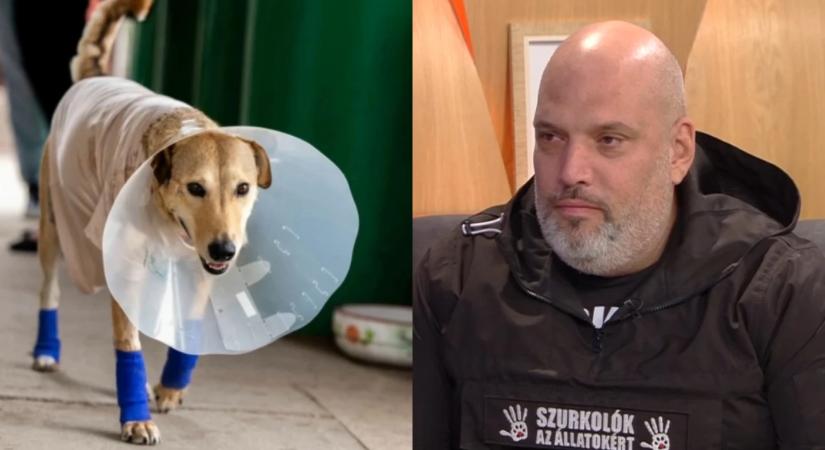 Autóval húzta maga után a kutyáját a férfi – pénzbüntetés lett az ítélet