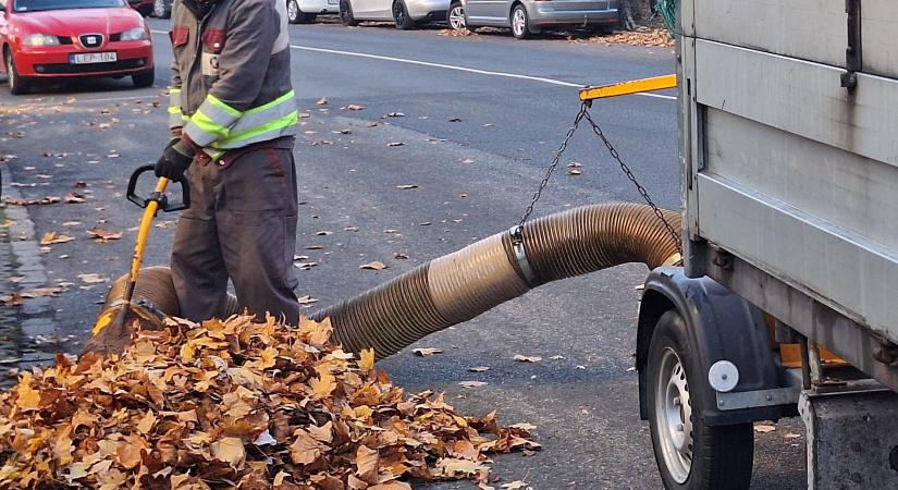 Folyamatos a lombgyűjtés Győrben