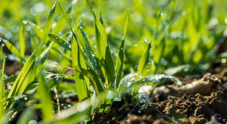 Még, még, még, ennyi nem elég!