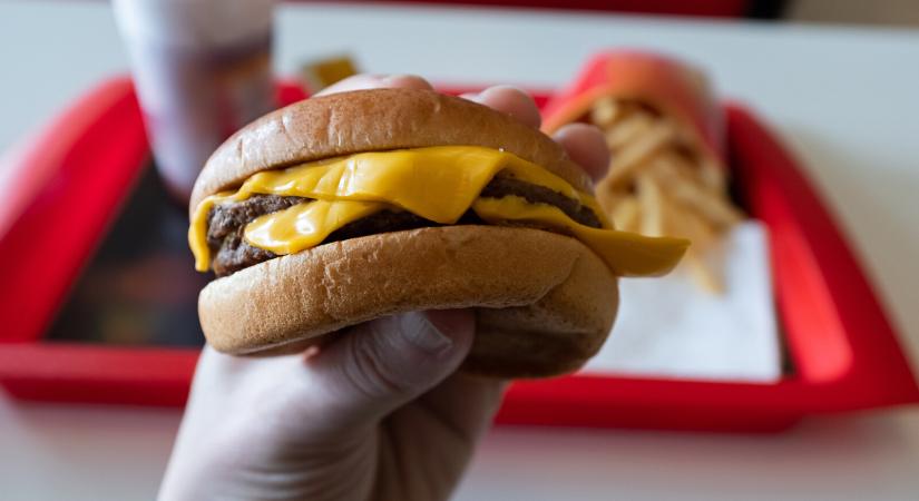 Belehalt egy hamburger elfogyasztásába a férfi, akit megcsípett egy kullancs