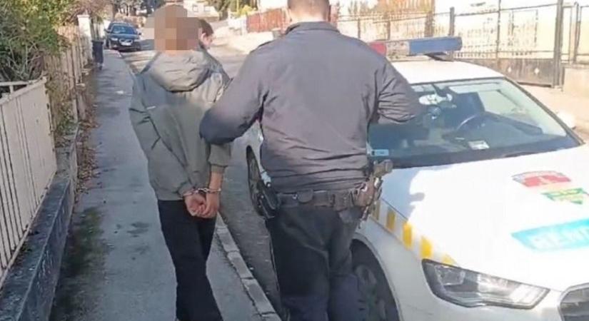 Aranyszínű csengőtől a kecskegidákig: elképesztő portyára indult a tini tolvaj (videó)