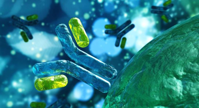 A kisgyermekek immunrendszerének kialakulása – Útmutató szülőknek