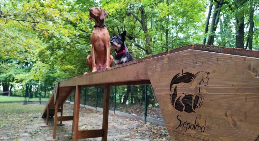 Mutatjuk, hol van a kutyák és a gazdik erdei paradicsoma a Bakonyban (videó)