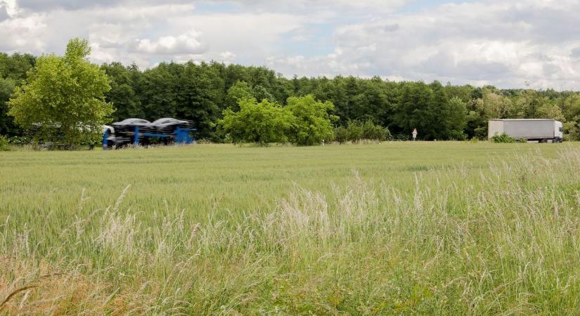 Szántót venne Vasban? Mutatjuk az árakat!