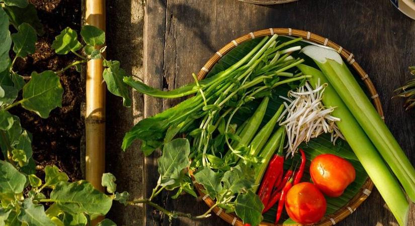 Öregszünk – de nem mindegy, hogyan! Az étrend dönt!