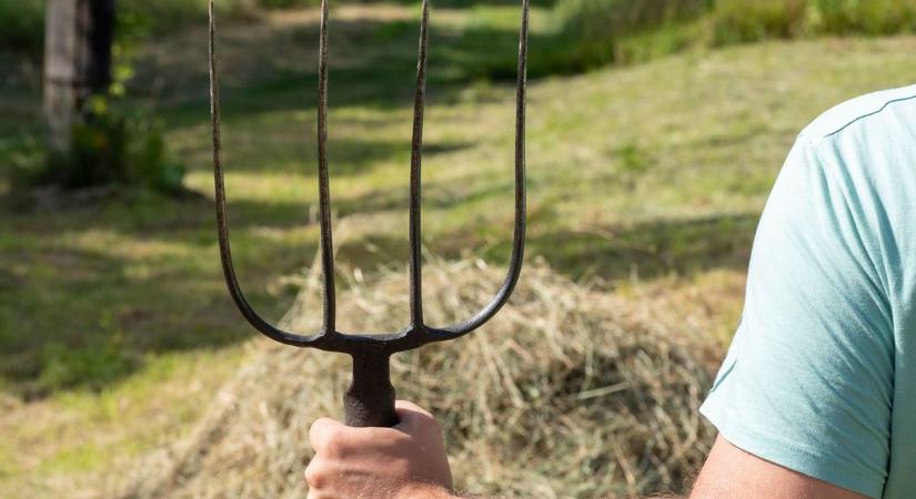 Vérre ment a vita Esztergomban: a férfi vasvillával és késsel támadt a nőre