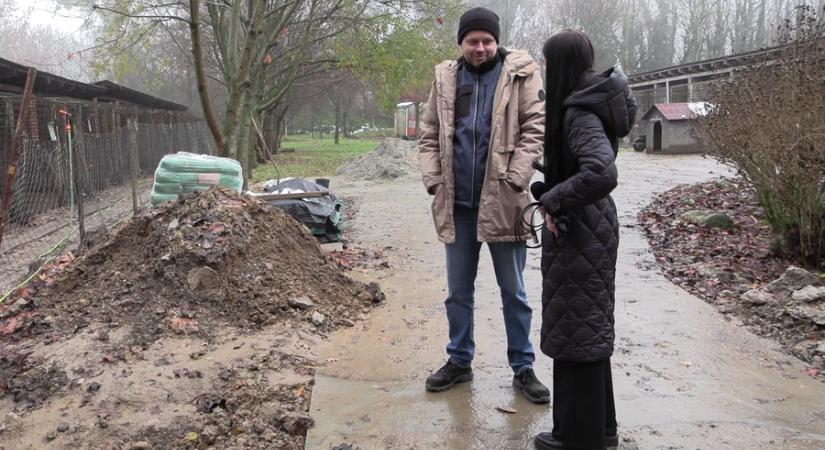 Zajlanak a felújítási munkák a menhelyen – adományokra továbbra is nagy szükség van