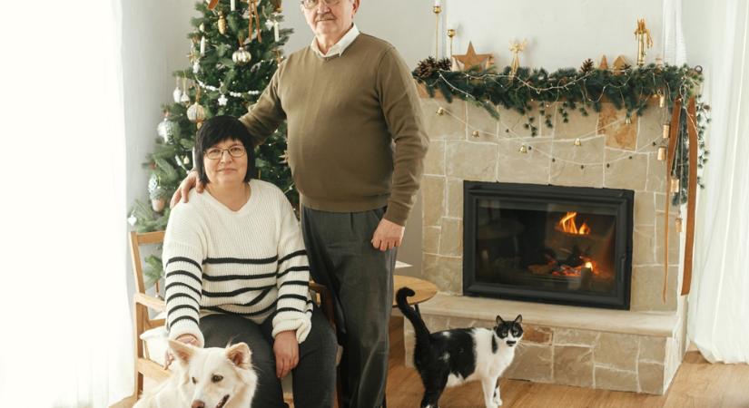 Kutyákra és macskákra is adót vetne ki a Tisza Párt