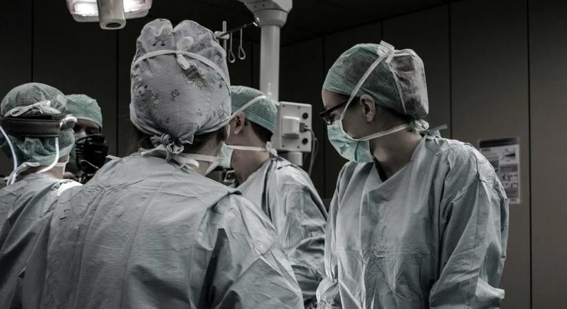 Hihetetlen, honnan kapott új orrot a kutyatámadás áldozata!