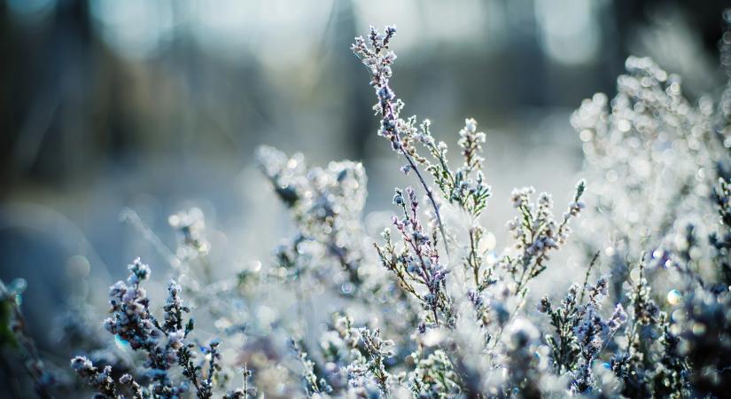 Ma eldőlt, hogy milyen lesz a karácsony