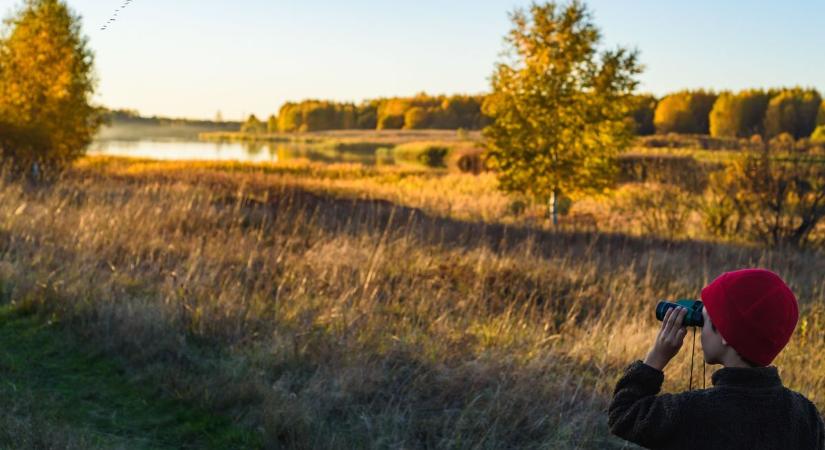 Szerdán újabb eső, szél és hűlés Szegeden – készülj rá!