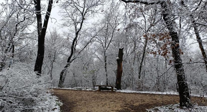 Így köszöntött be a tél: olvasóink mutatták meg, milyen volt az idei első hó GALÉRIA