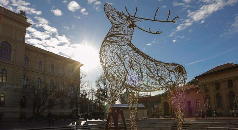 Visszatért a legendás szegedi fényszarvas: rekordidő alatt építették fel a Dugonics téren