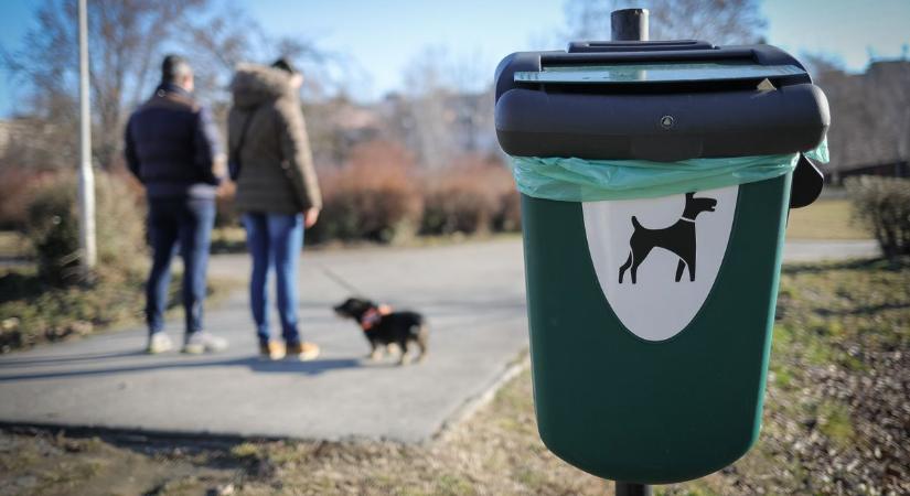 Kutyapiszok-ügy Győrben - Beazonosítható, ki nem szedte össze az ürüléket?