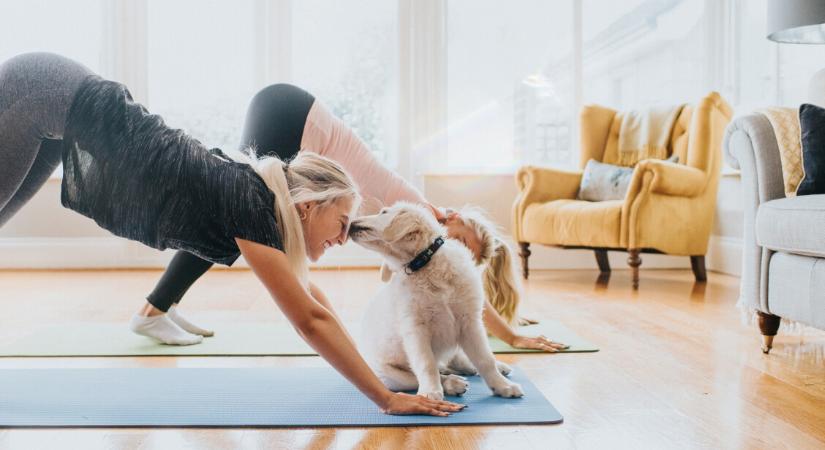 Alvásjavító sportok: kiderült, melyik a leghatásosabb – Alig pár hét alatt eredményt hoz