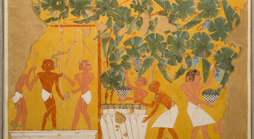 Borrá változtathatták a vizet az ókori népek, csak egy kis mazsola kellett hozzá