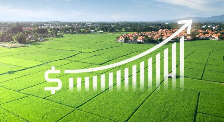 Tovább drágul a tápanyag-utánpótlás a hazai mezőgazdaságban