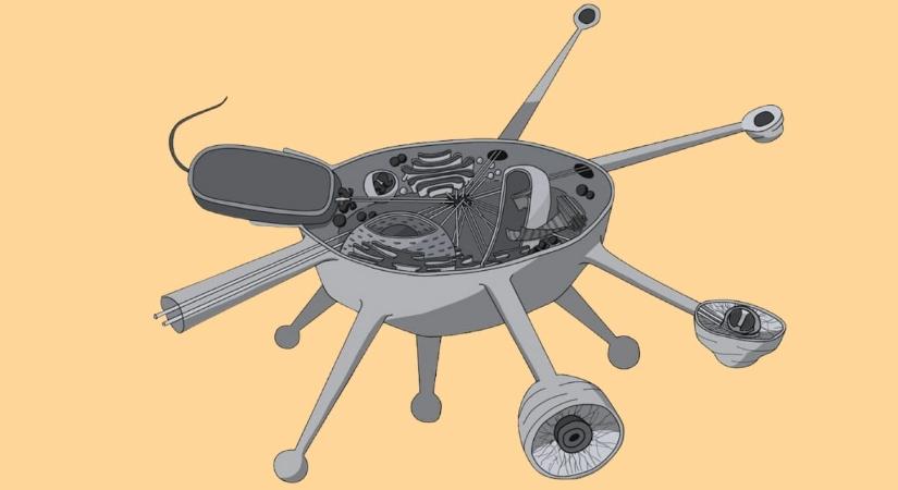 Ősi élet maradványaira bukkantak a horvát partoknál