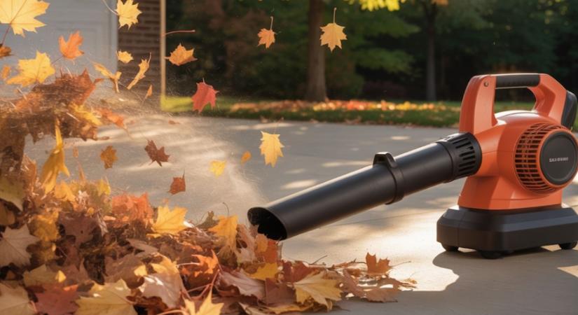 Ezért nem szabad levélfúvót használni – többet árt, mint használ