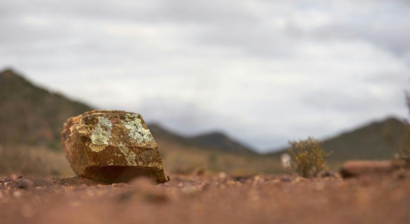 Nincs helye vitának: Kenya megnyerte a jackpot-ot – szafariországból aranyország lehet