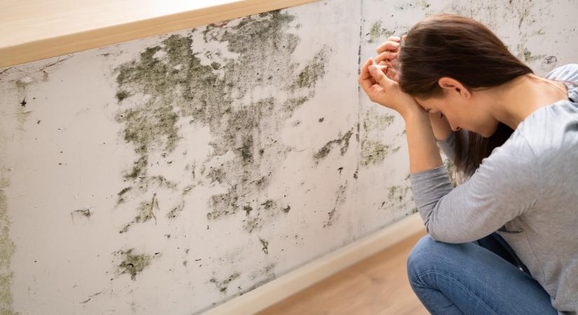 Emiatt penészedik be a falad télen – Alattomosan jelenik meg, és nehéz eltüntetni