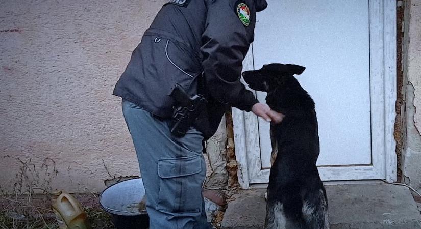 A feketegazdaság ezer arca: Bútorszállítónak álcázott csempész és hamis mosószer a NAV hálójában  videó