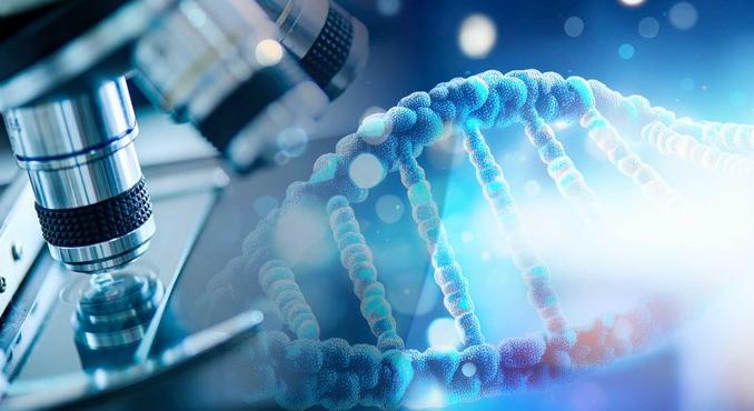 Krausz Ferenc vezetésével elindult az új tehetséggondozó és csúcskutatási program