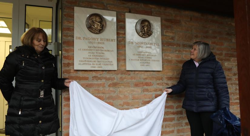 Kormányzati prioritás lett egy eddig háttérbe szorult teendő