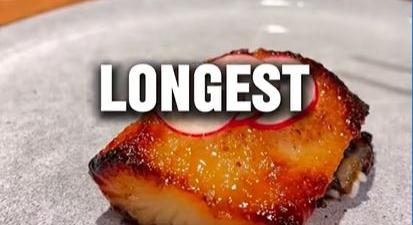 Halleges – A nap videója