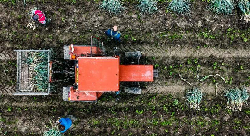Arte: Nincs, aki tovább vigye a farmot, így szűnt meg 30 év alatt a belga gazdaságok több mint fele