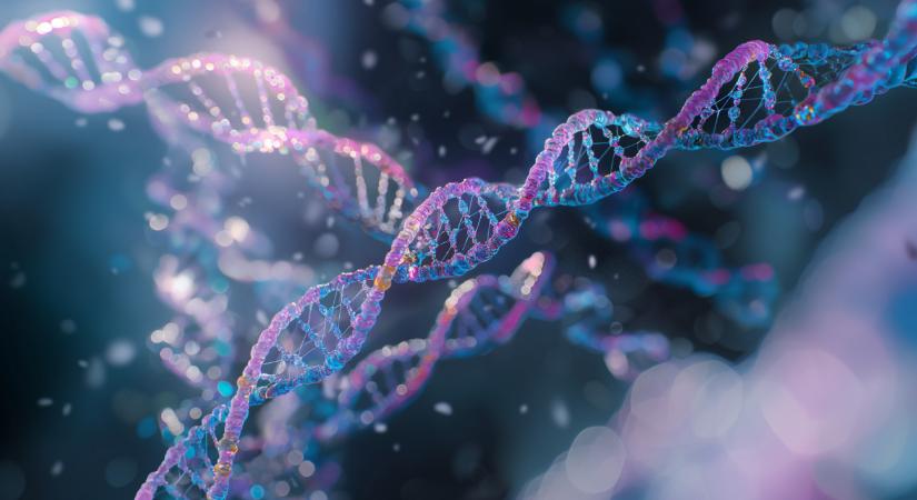 Pontosabb génmódosító eljárást dolgoztak ki magyar genetikusok