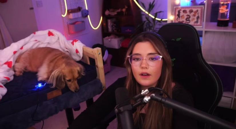 Pea, a healer kutya: segített nyerni gazdájának a négylábú Marvel Rivals-ban