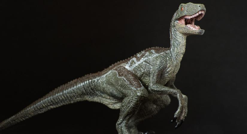 Megdöbbentő felfedezés: egy férfi holttestét rejtette a hatalmas dínó