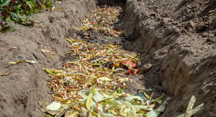 Árokkomposztálás: olcsó, egyszerű és most kell belevágni!