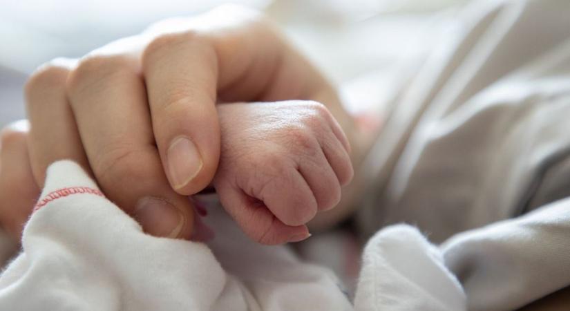 Kiskunhalasi anyakönyvi hírek