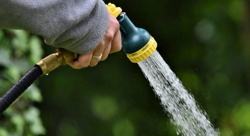 Idei tapasztalatok az aszályos kertből – Mit tanulhatunk a szélsőséges időjárásból?