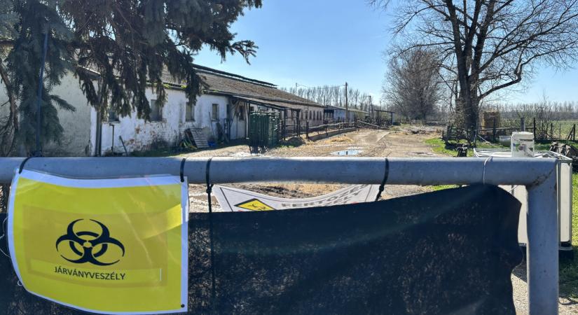 Lassan halad a száj- és körömfájás-járvány utáni kártalanítás