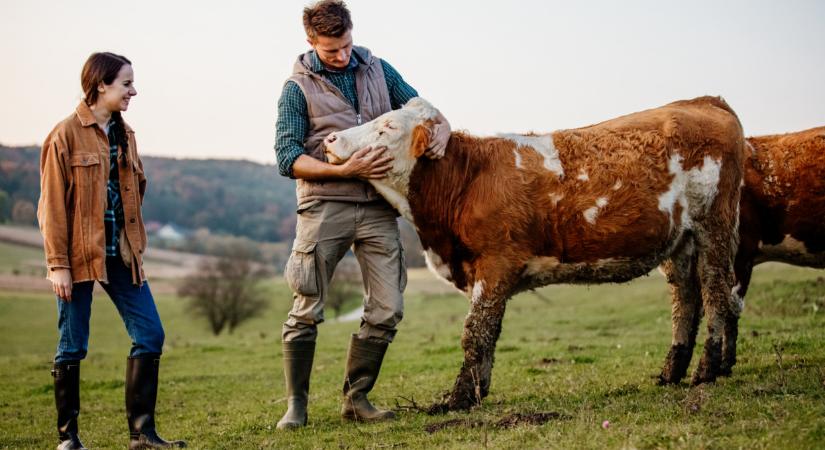 Teljesen átalakulhat az állattenyésztés Magyarországon: jó lesz rá felkészülni