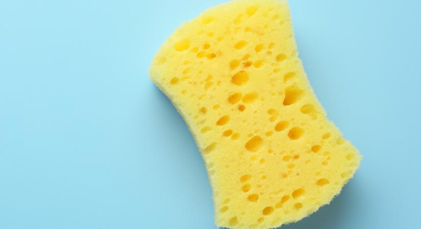 Tegyél egy mosogatószivacsot a fagyasztóba - idegörlő problémát oldhat meg