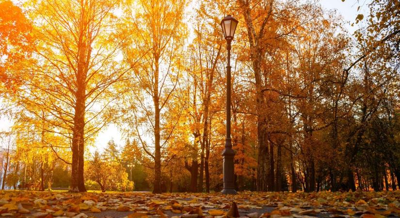 Esernyőt elő! Borongós, szeles nap jön Szegeden