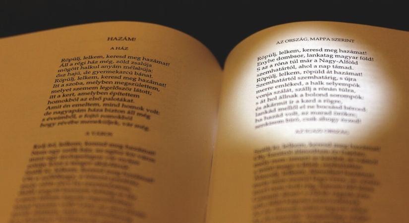 Ezen a napon született az egyik legnagyobb magyar költőnk: mutatjuk ki volt ő