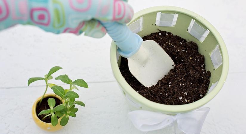 Téli kertészkedés gyerekkel – mit tanulhatnak most?