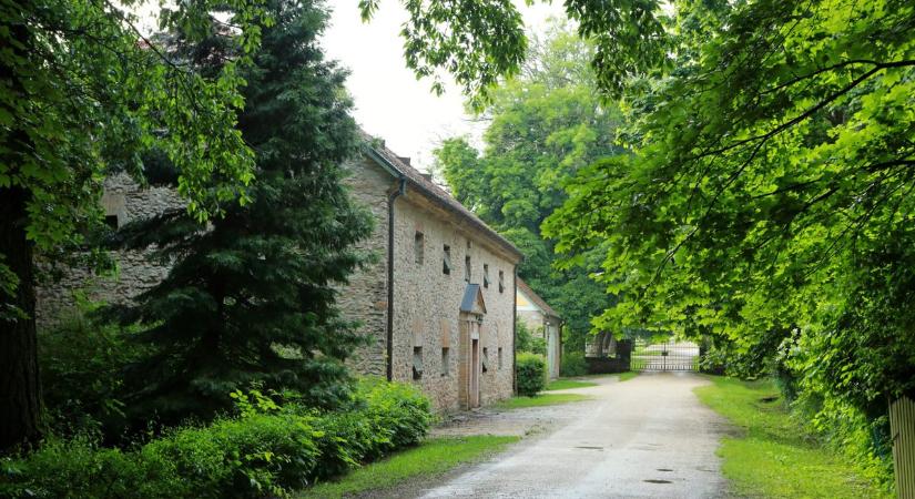Tragikusan elhunyt fiának állított emléket Szépalma grófja: a legendás Esterházy-birtok igazsága